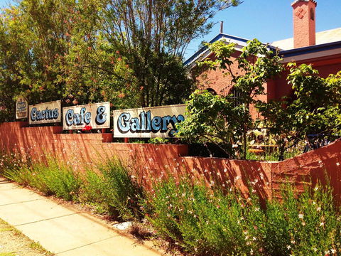 Cactus Cafe And Gallery - Surfers Gold Coast 0