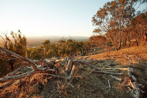 Chick Hill Walk - Surfers Gold Coast 0