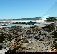 Coastal Walks - Bermagui - Surfers Gold Coast