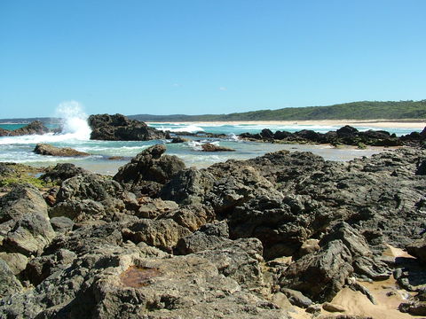 Coastal Walks - Bermagui - Surfers Gold Coast 0
