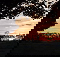 Dangar's Lagoon and Racecourse Lagoon - Surfers Gold Coast