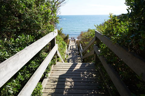 Davey's Bay - Surfers Gold Coast 1