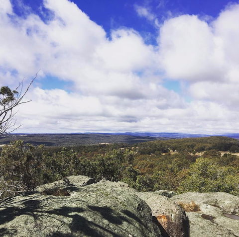 Donnellys Castle - Surfers Gold Coast 0