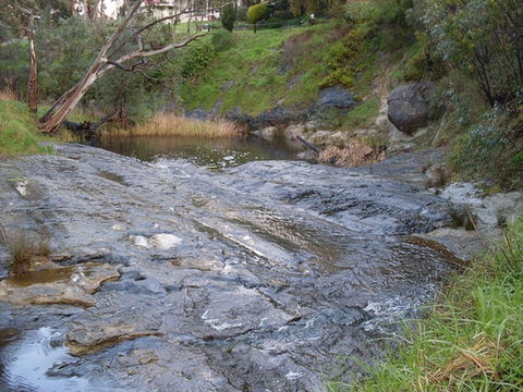 Glacier Rock - Surfers Gold Coast 0