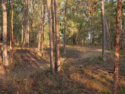 Grande Park - Surfers Gold Coast 2