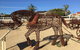Gundersen Reserve - thumb 0