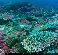 Hanging Rock Dive Site - Surfers Gold Coast
