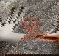Hands of Fame Park - Surfers Gold Coast