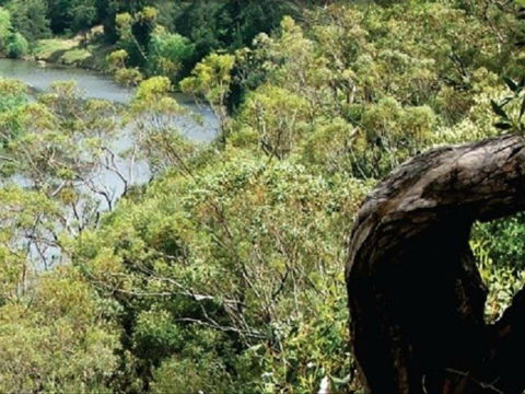 Heuston Lookout - Surfers Gold Coast 0