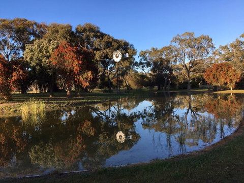 Jubilee Park - Surfers Gold Coast 0
