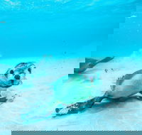 Jurien Bay - Surfers Gold Coast