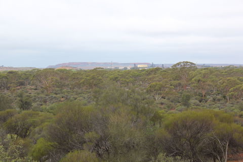 Karlkurla Bushland Park - Surfers Gold Coast 1