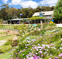 Kate's Berry Farm - Surfers Gold Coast