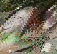 Koala Park Sanctuary - Surfers Gold Coast