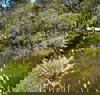 Kurth Kiln Regional Park - Surfers Gold Coast