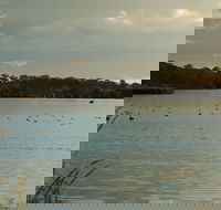 Lake Inverell Reserve - Surfers Gold Coast