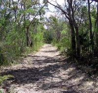 Lanky's Walk - Surfers Gold Coast