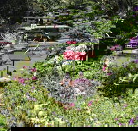 Launceston Gorge Scenic Chairlift - Surfers Gold Coast