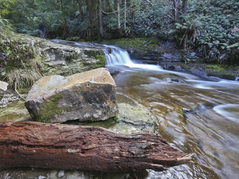 Liffey Falls Reserve - Surfers Gold Coast 0