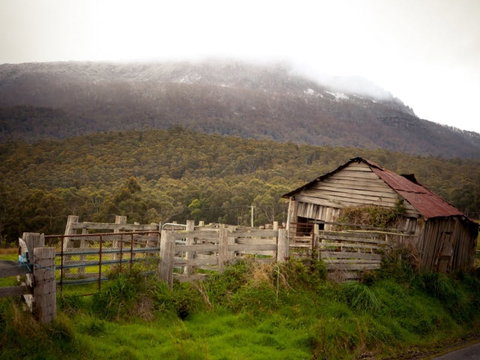 Liffey Falls Reserve - Surfers Gold Coast 2