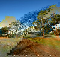 Maclagan - Surfers Gold Coast