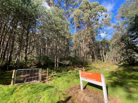 Mount Torbreck Summit Walk - Surfers Gold Coast 1