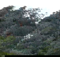 Mount Yarrowyck Nature Reserve - Surfers Gold Coast