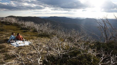 Mount Hotham - Surfers Gold Coast 2
