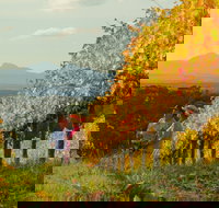 Mount Barker - Surfers Gold Coast