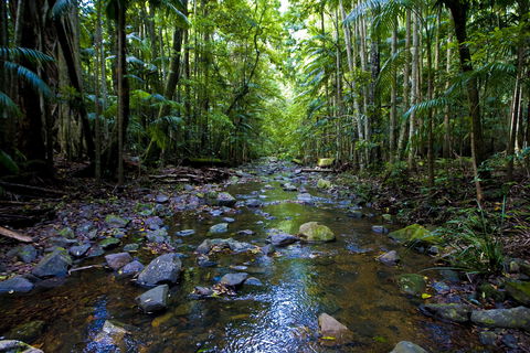 Nambucca Valley - Surfers Gold Coast 0