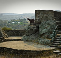 Nanny Goat Hill Lookout - Surfers Gold Coast