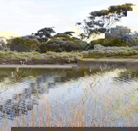 Onkaparinga River Recreation Park - Surfers Gold Coast