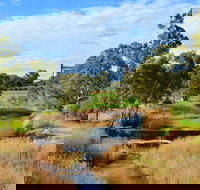 Owen  Hamley Bridge - Surfers Gold Coast