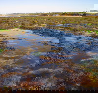 Point Danger Marine Sanctuary - Surfers Gold Coast