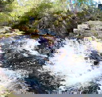 Polblue Falls - Surfers Gold Coast