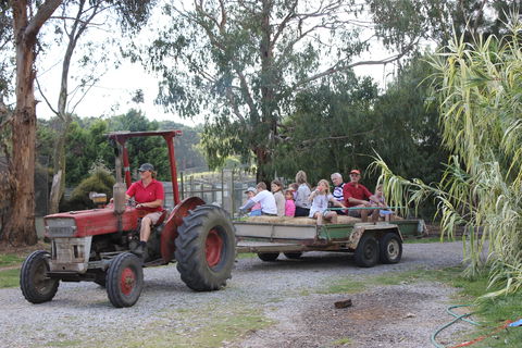 Rain Hayne And Shine Farmyard - Surfers Gold Coast 1