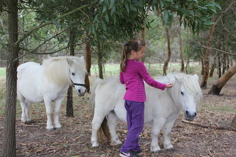 Rain Hayne And Shine Farmyard - Surfers Gold Coast 2