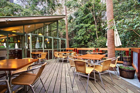 Sea Acres Rainforest Centre - Surfers Gold Coast 2