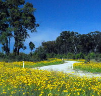 Shearer's Way - Surfers Gold Coast