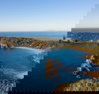 Snorkelling Guerilla Bay - Surfers Gold Coast