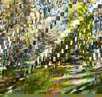 Square Head Track 1 - Surfers Gold Coast