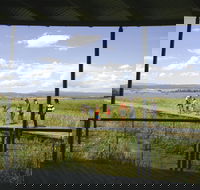 Tamar Island Wetlands Centre and Reserve - Surfers Gold Coast