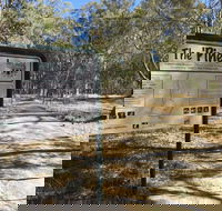 The Pines Conservation Reserve - Surfers Gold Coast