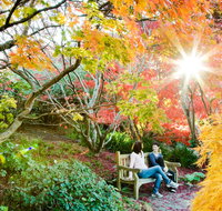 The Blue Mountains Botanic Garden Mount Tomah - Surfers Gold Coast