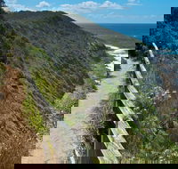 The Coast Walking Track - Surfers Gold Coast