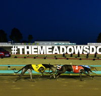 The Meadows - Surfers Gold Coast