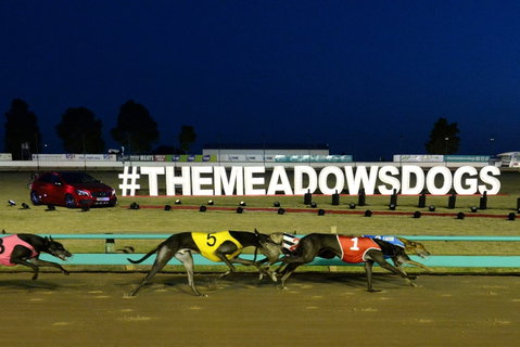 The Meadows - Surfers Gold Coast 0