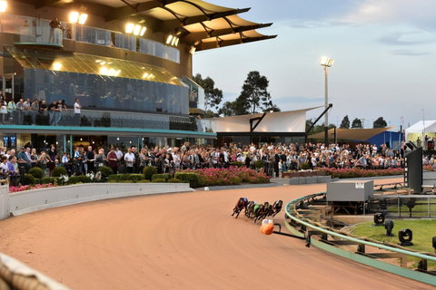 The Meadows - Surfers Gold Coast 1