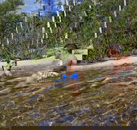 Tjaynera Falls Sandy Creek - Surfers Gold Coast