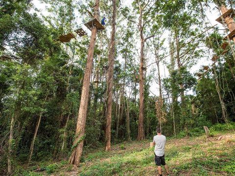 TreeTop Challenge - Sunshine Coast - Surfers Gold Coast 1